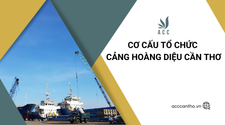 Cơ cấu tổ chức cảng Hoàng Diệu Cần Thơ