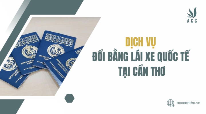 Dịch vụ đổi bằng lái xe quốc tế tại Cần thơ