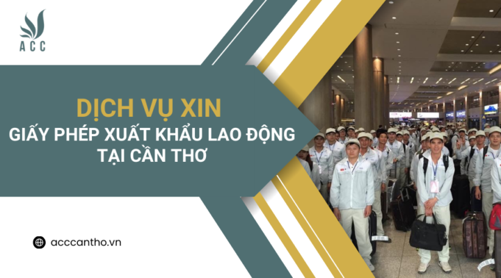 Dịch vụ xin giấy phép xuất khẩu fv88 link tại Cần Thơ 