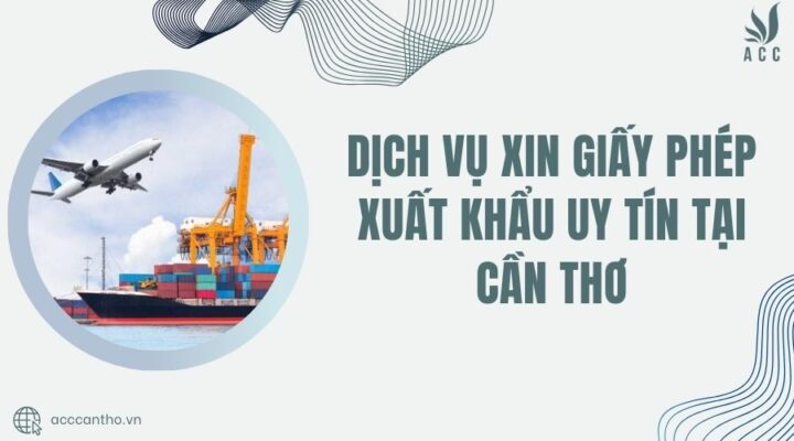 Dịch vụ xin giấy phép xuất khẩu uy tín tại Cần Thơ