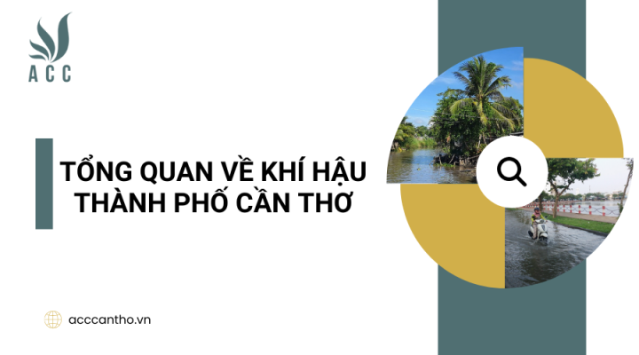 Tổng quan về kh&iacute; hậu th&agrave;nh phố Cần Thơ