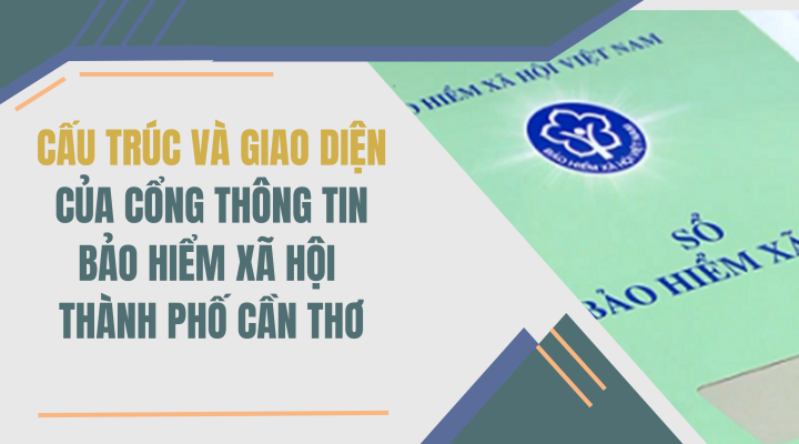 Cấu trúc và giao diện của Cổng thông tin Bảo hiểm xã hội Thành phố Cần Thơ