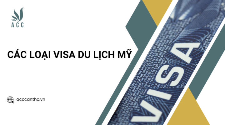 Các loại visa du lịch Mỹ