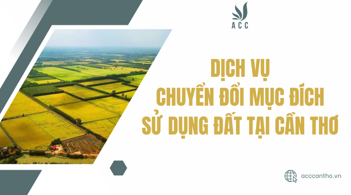 Dịch vụ chuyển đổi mục đích sử dụng đất tại Cần Thơ