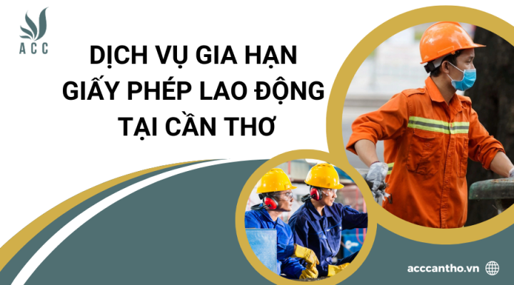 Dịch vụ gia hạn giấy phép fv88 link tại Cần Thơ
