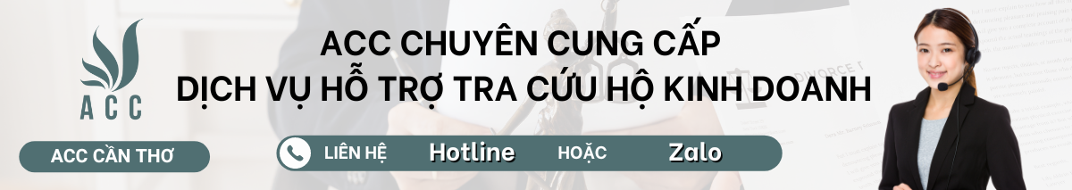 Dịch vụ hỗ trợ tra cứu hộ fv888