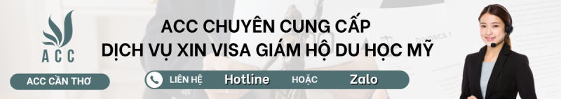 Dịch vụ xin visa giám hộ du học Mỹ