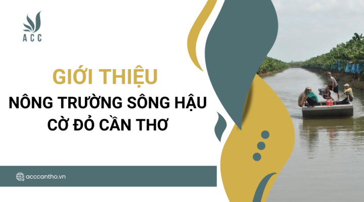 Giới thiệu Nông trường Sông Hậu Cờ Đỏ Cần Thơ