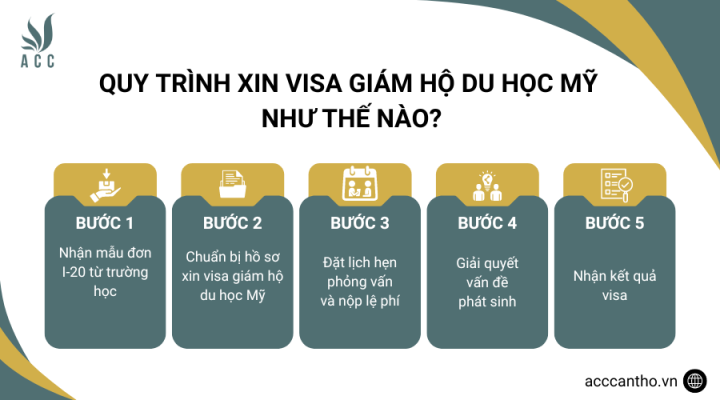 Quy trình xin visa giám hộ du học Mỹ như thế nào?
