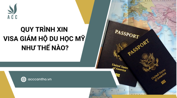 Quy trình xin visa giám hộ du học Mỹ như thế nào?