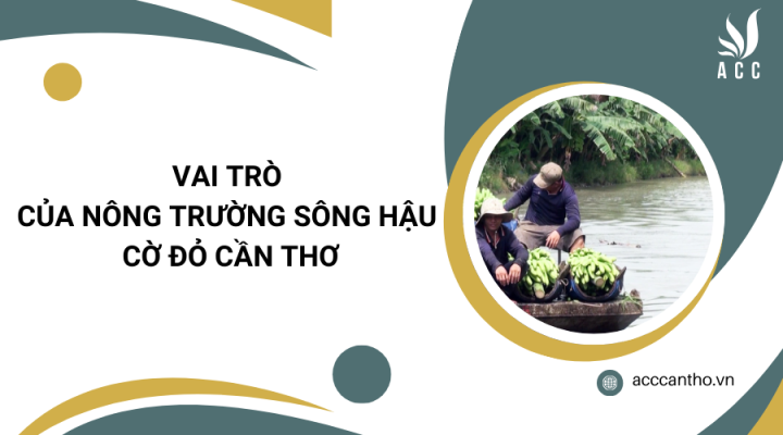 Vai trò của Nông trường Sông Hậu Cờ Đỏ Cần Thơ