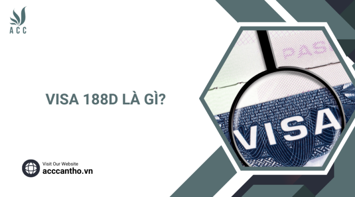 Visa 188D là gì? 