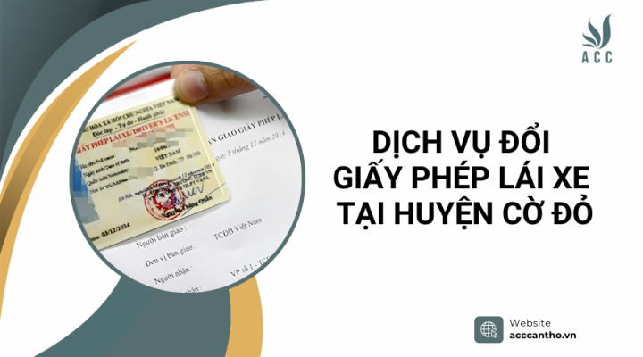 Dịch vụ đổi giấy phép lái xe tại Huyện Cờ Đỏ