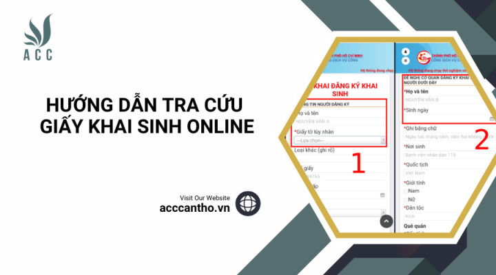 Hướng dẫn tra cứu giấy khai sinh online