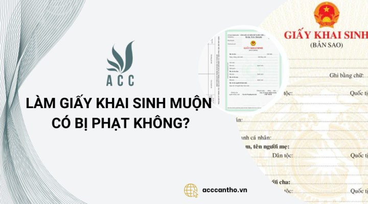 Làm giấy khai sinh muộn có bị phạt không?