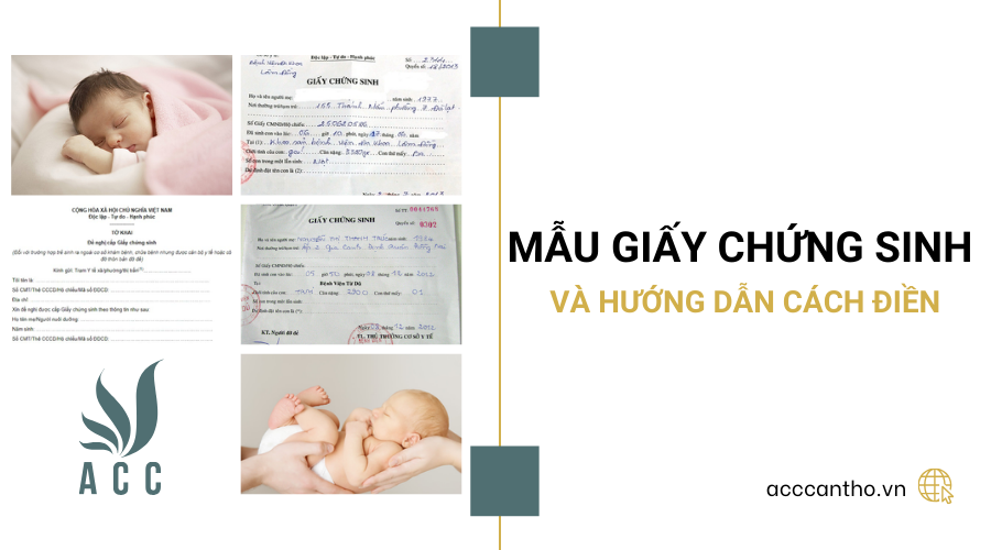Mẫu giấy chứng sinh và hướng dẫn cách điền