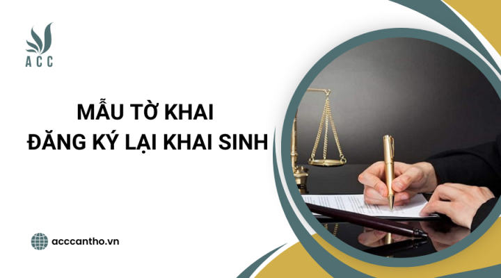 Mẫu tờ khai đăng ký lại khai sinh