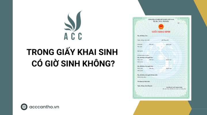 Trong giấy khai sinh có giờ sinh không?