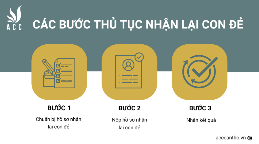 Các bước thủ tục nhận lại con đẻ
