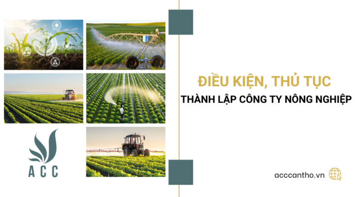 Điều kiện, thủ tục thành lập công ty nông nghiệp