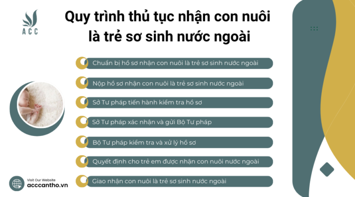 Quy trình thủ tục nhận con nuôi là trẻ sơ sinh nước ngoài