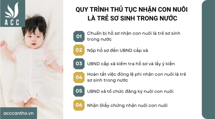 Quy trình thủ tục nhận con nuôi là trẻ sơ sinh trong nước