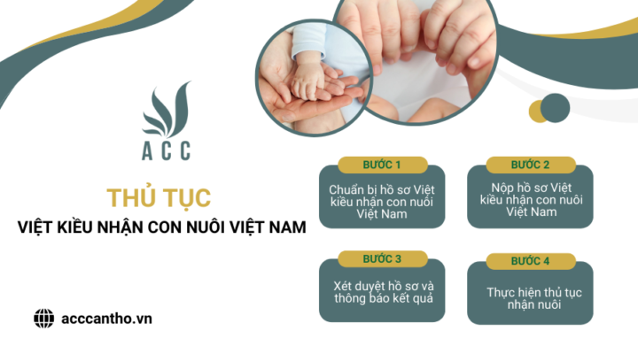 Thủ tục Việt kiều nhận con nuôi Việt Nam