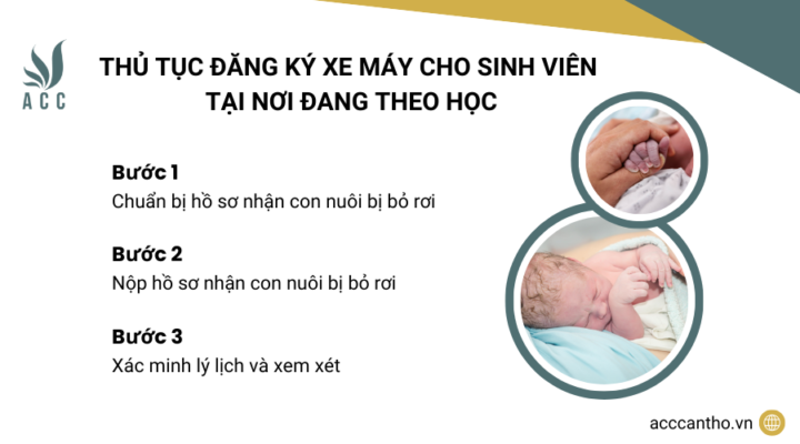 Thủ tục nhận con nuôi bị bỏ rơi 