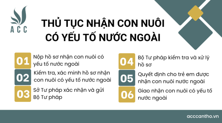 Thủ tục nhận con nuôi có yếu tố nước ngoài