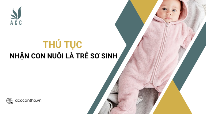Thủ tục nhận con nuôi là trẻ sơ sinh
