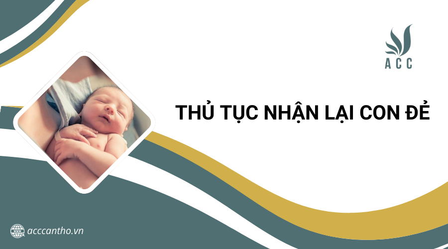 Thủ tục nhận lại con đẻ