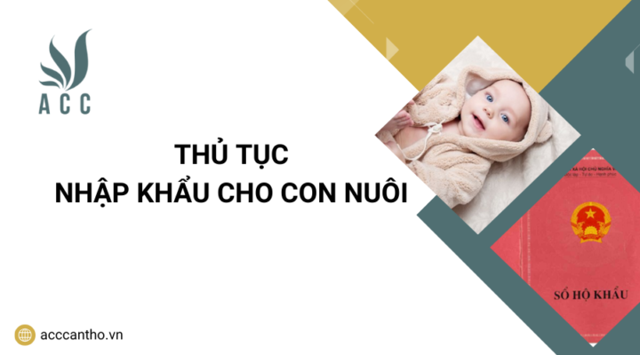 Thủ tục nhập khẩu cho con nuôi