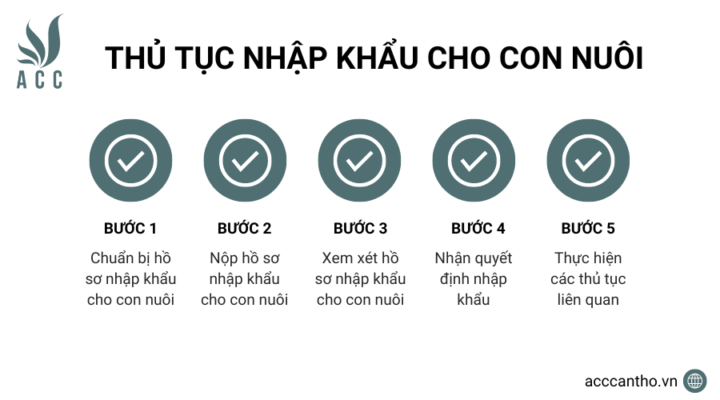 Thủ tục nhập khẩu cho con nuôi