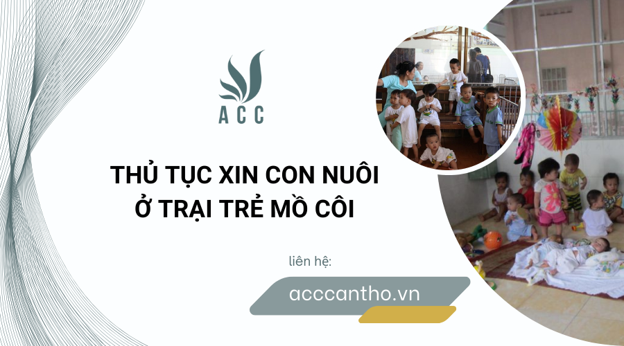 Thủ tục xin con nuôi ở trại trẻ mồ côi