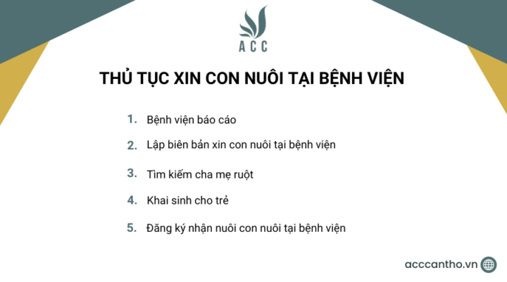 Thủ tục xin con nuôi tại bệnh viện 