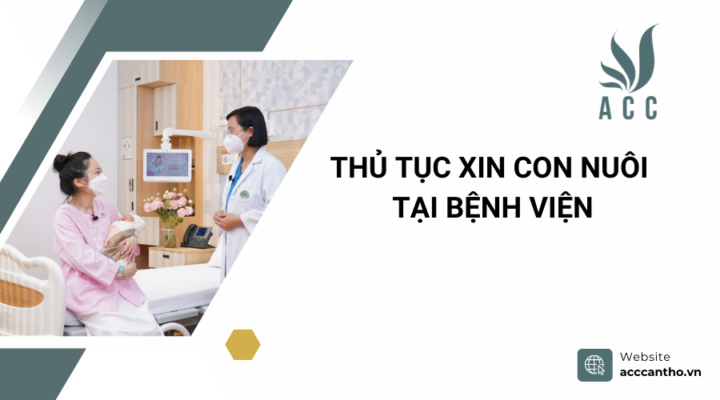 Thủ tục xin con nuôi tại bệnh viện