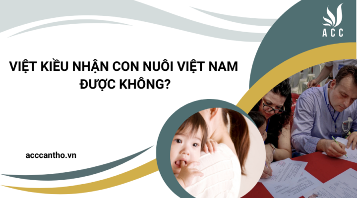 Việt kiều nhận con nuôi Việt Nam được không?