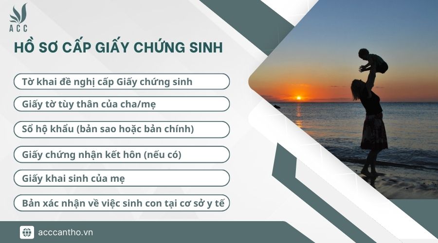 Hồ sơ cấp giấy chứng sinh