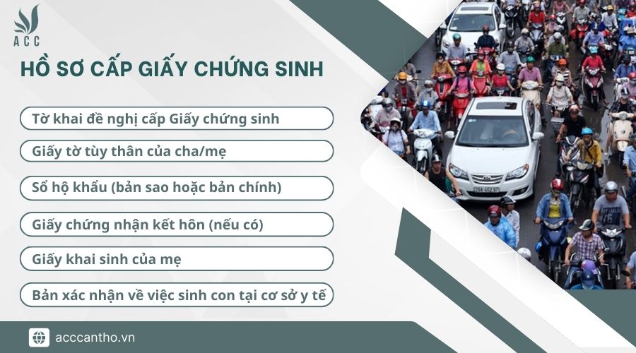 Hồ sơ cấp giấy chứng sinh