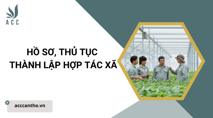 Hồ sơ, thủ tục thành lập hợp tác xã