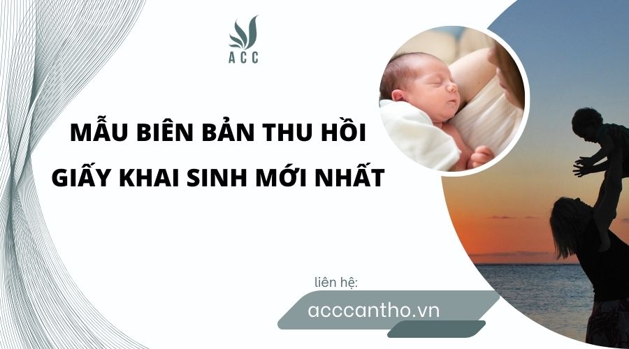 Mẫu biên bản thu hồi giấy khai sinh mới nhất