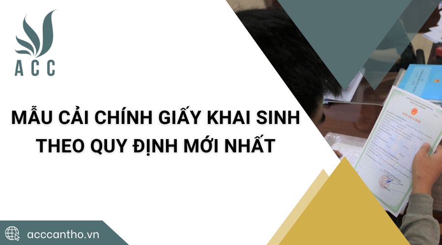Mẫu cải chính giấy khai sinh theo quy định mới nhất