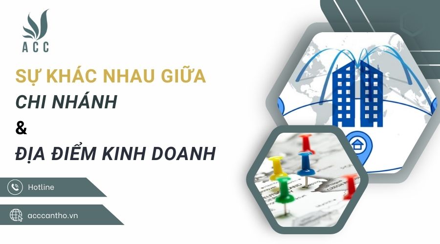 Sự khác nhau giữa chi nhánh và địa điểm fv888