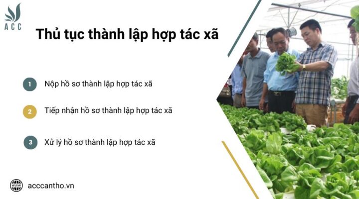 Thủ tục thành lập hợp tác xã