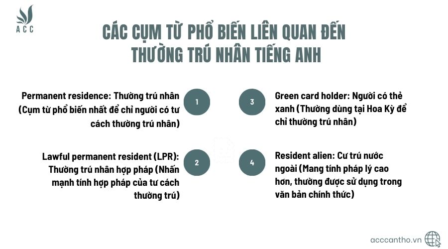 Các cụm từ phổ biến liên quan đến fv88 link nhân tiếng Anh