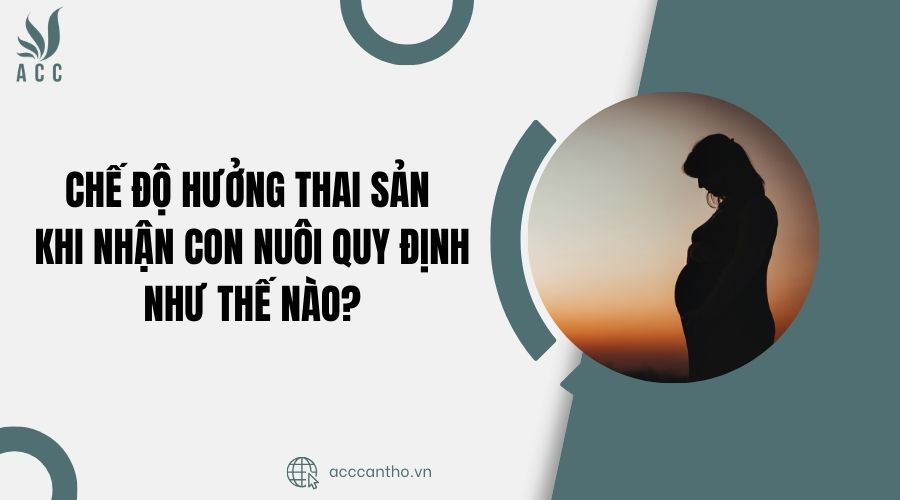 Chế độ hưởng thai sản khi nhận con nuôi quy định như thế nào