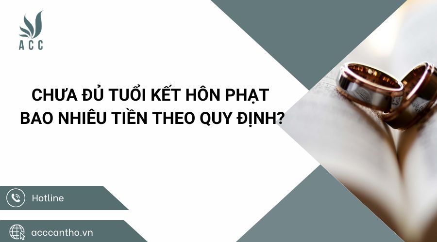 Chưa đủ tuổi fv88 đá gà trực tiếp phạt bao nhiêu tiền theo quy định