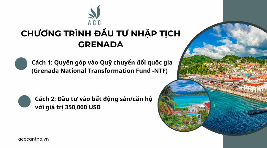 Chương trình đầu tư nhập tịch Grenada