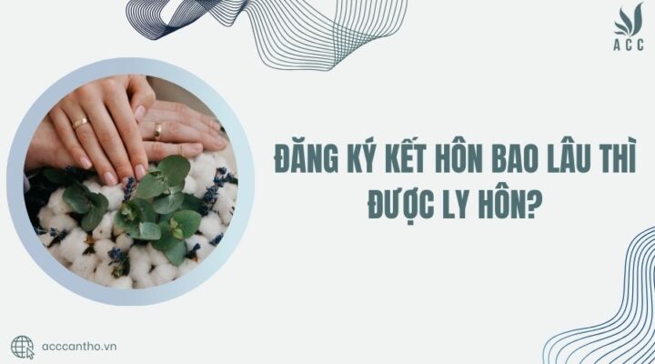 Đăng ký fv88 đá gà trực tiếp bao lâu thì được ly hôn
