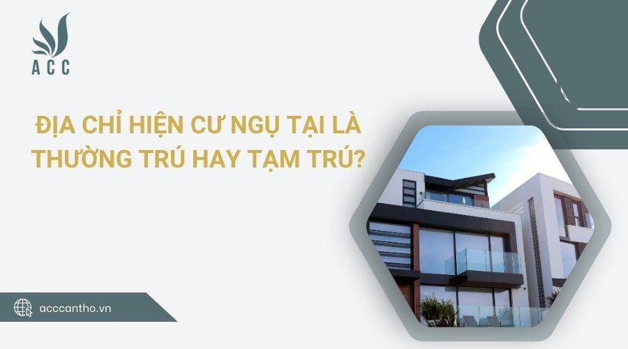 Địa chỉ hiện cư ngụ tại là thường trú hay tạm trú